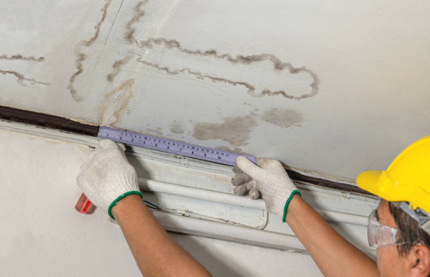 Reliable Water Damage contractor in Sumas, WA by Water Damage Irwin